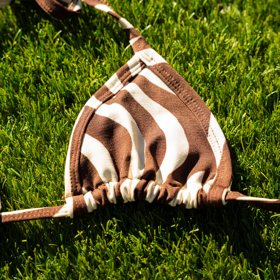 Bikini Zebra 🦓
