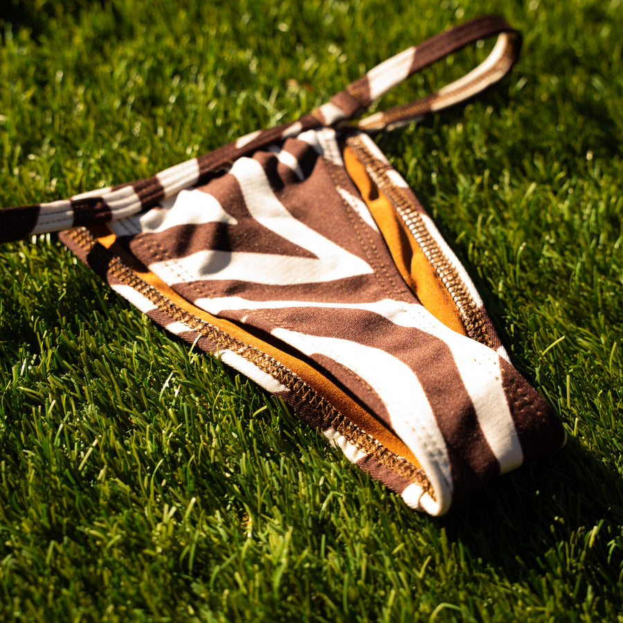 Bikini Zebra 🦓